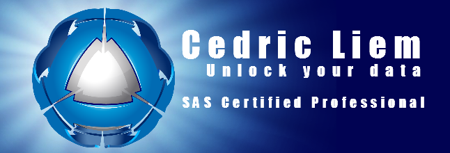 Cedric Liem offers independent SAS Consulting services