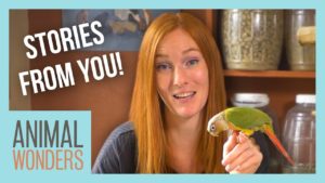 Animal Wonders Montana with Jessi