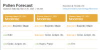 Pollen Report 2021-03-20