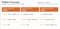 Pollen Report 2021-04-08